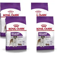 Royal Canin Shn Giant Adult - Hondenvoer - 4 x 4 kg