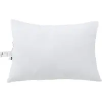 vidaXL Hoofdkussen 60 x 40 x 20 cm Polyester Wit