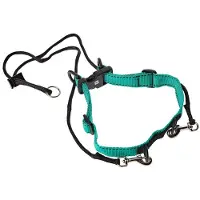 Kruuse Elizabethan Hondenhalsband