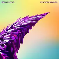 Bertus Distributie Feathers & Bones