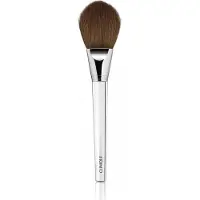 Clinique Brush Powder Foundation