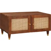 vidaXL Salontafel 80 x 50 x 40 cm Massief Mango Hout