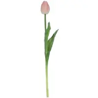Countryfield - Kunstbloem - Tulp Tulipa - Ø10xH43 cm