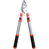Dutchlander Telescopische aambeeld-takkenschaar 65-98 cm softgrip