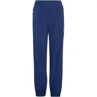 Adidas Originals Broek 'X Minecraft' navy / wit