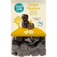 Terrasana Ginger pleasure bio 150 gram