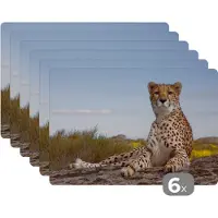 KitchenYeah Placemat - Placemats kunststof - Luipaard - Dieren - Natuur - 45x30 cm - 6 stuks - Hittebestendig - Anti-Slip - Onderlegger - Afneembaar