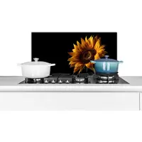 KitchenYeah Spatscherm keuken 70x30 cm - Kookplaat achterwand Bloemen - Botanisch - Zwart - Zonnebloem - Muurbeschermer - Spatwand fornuis - Hoogwaardig aluminium