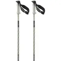 Salomon Polar Pro S3 Stokken