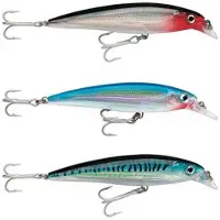Rapala X-rap Saltwater Minnow 22g 120 Mm Veelkleurig