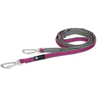 AnnyX SAFETY Hondenlijn – Grijs/Fuchsia – Extra Veilig – 4-voudig Verstelbaar – Gewatteerd – Sterk & Duurzaam