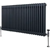 Monster Traditionele radiator met 2 kolommen - 600 x 1192 mm - Anthracietgrijs