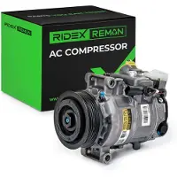 RIDEX 447K0300R Aircopomp