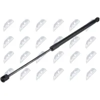 NTY AE-SU-002 Gasveer achterklep