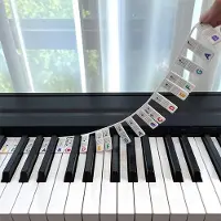 INF Verwijderbare piano- en keyboardlabels 88 toetsen MultiColor