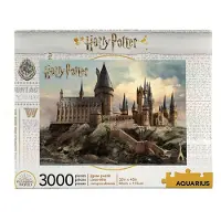 Aquarius Hogwarts 3000 Piece Puzzle Goud Kinderen
