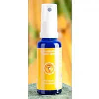 BERK Zonnevlecht chakra Manipura Chakra spray