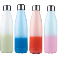 Alpina Isoleerfles Duokleur 470ml Verschillende verschillende RVS