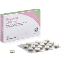 Karizoo Silycure 160mg Huisdiersupplement 30 Eenheden