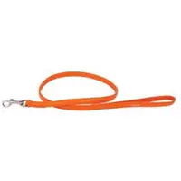 Collar Pet Leather Hondenriem