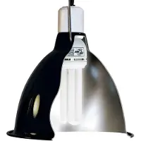 Zoo med Diepe Koepel Lamp