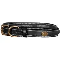 Dyon Fancy Hondenhalsband