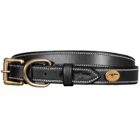 Dyon Flat Leather Hondenhalsband