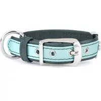 My Family Firenze Hondenhalsband