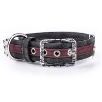 My Family London Hondenhalsband