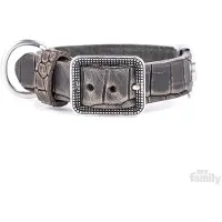 My Family Tucson Hondenhalsband