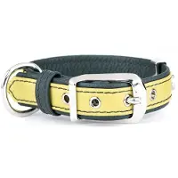 My Family Firenze Hondenhalsband