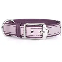My Family Firenze Hondenhalsband