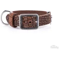 My Family Tucson Hondenhalsband
