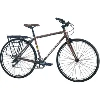 Fairdale Lookfar Fiets