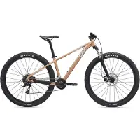 Liv Tempt 3 29´´ Acera Rd-m3020 2025 Mountainbike