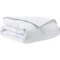vidaXL Winterdekbed 140 x 220 cm, winter, gevuld met dons, wit, ademend