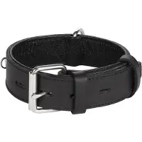 Flamingo Rondo Riveted Hondenhalsband