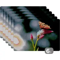 KitchenYeah Placemat - Placemats kunststof - Vlinder - Bloemen - Insecten - 45x30 cm - 6 stuks - Hittebestendig - Anti-Slip - Onderlegger - Afneembaar