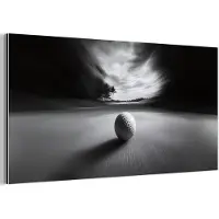 MuchoWow Aluminium schilderij 40x20 cm - Wanddecoratie metaal - Golfbal - Wazig - Zwart - Metalen muurdecoratie woonkamer - Decoratie industrieel - Foto op dibond - Industriële accessoires slaapkamer