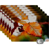 KitchenYeah Placemat - Placemats kunststof - Beuk - Herfst - Bladeren - 45x30 cm - 6 stuks - Hittebestendig - Anti-Slip - Onderlegger - Afneembaar