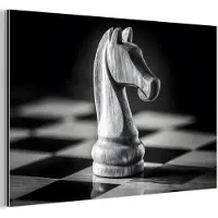 MuchoWow Aluminium schilderij 60x40 cm - Wanddecoratie metaal - Paard - Hout - Schaalbord - Zwart - Metalen muurdecoratie woonkamer - Decoratie industrieel - Foto op dibond - Industriële accessoires slaapkamer
