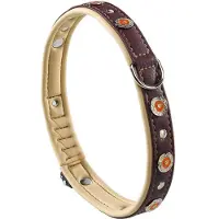 Ferplast Circus 25 Mm 51-49 Cm Hondenhalsband