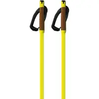 Fischer Storm Gtx M Stokken