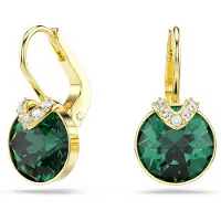 Swarovski - Oorbellen Voor Dames