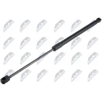 NTY AE-RE-076 Gasveer achterklep