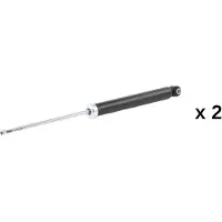 RIDEX 854S20800 Schokdemper