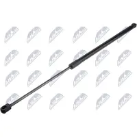 NTY AE-SK-046 Gasveer achterklep
