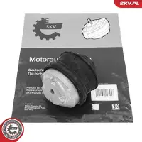 ESEN SKV 75SKV175 Motorsteunlager