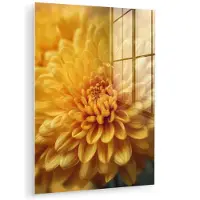 MuchoWow Glasschilderij 120x160 cm - Schilderij acrylglas - Geel - Chrysant - Zachtheid - Foto op glas - Muurdecoratie woonkamer - Wanddecoratie slaapkamer - Schilderijen