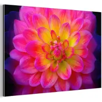 MuchoWow Aluminium schilderij 150x100 cm - Wanddecoratie metaal - Roze - Dahlia - Kleurrijk - Metalen muurdecoratie woonkamer - Decoratie industrieel - Foto op dibond - Industriële accessoires slaapkamer
